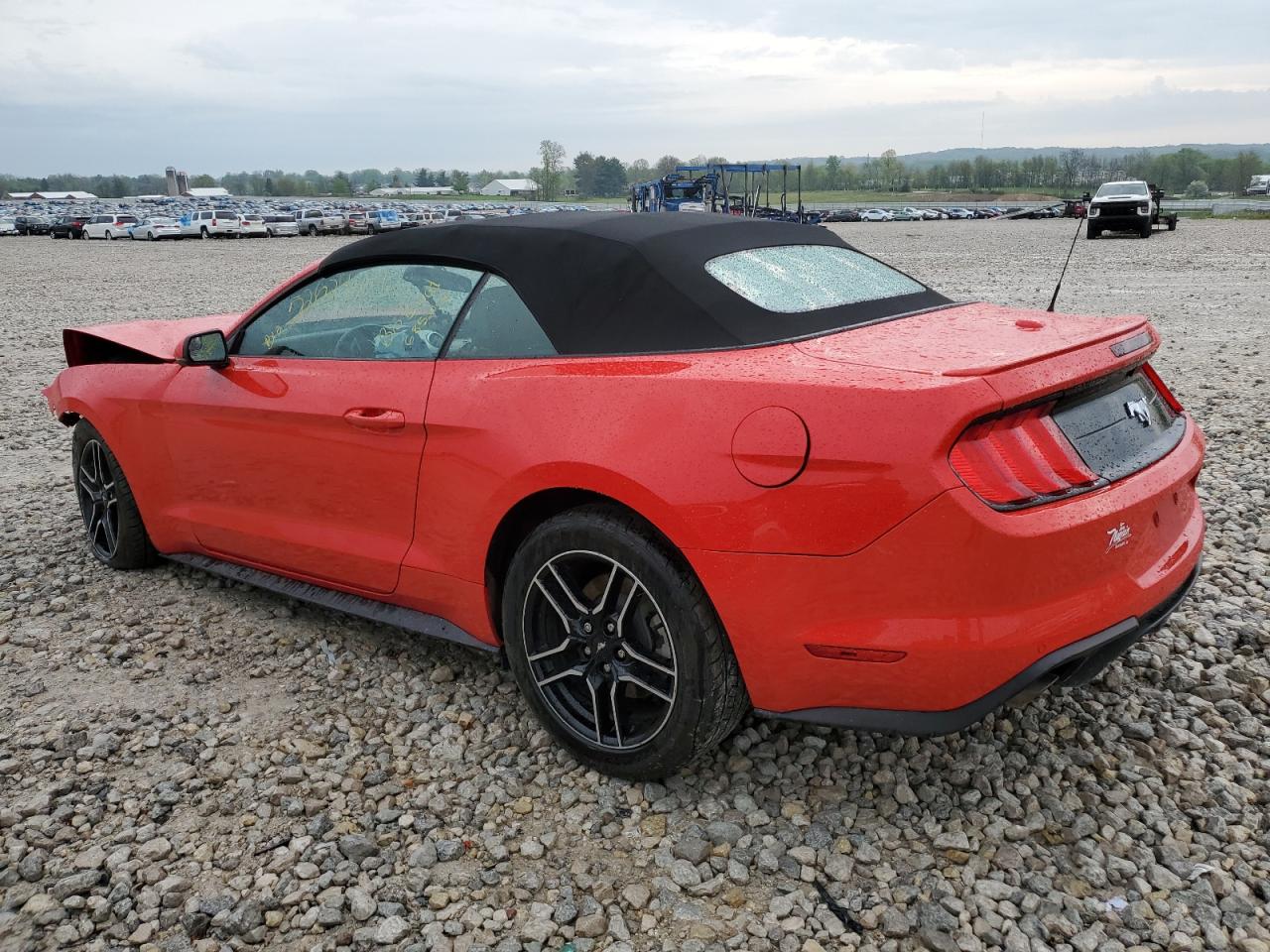 Photo 1 VIN: 1FATP8UH5L5101460 - FORD MUSTANG 