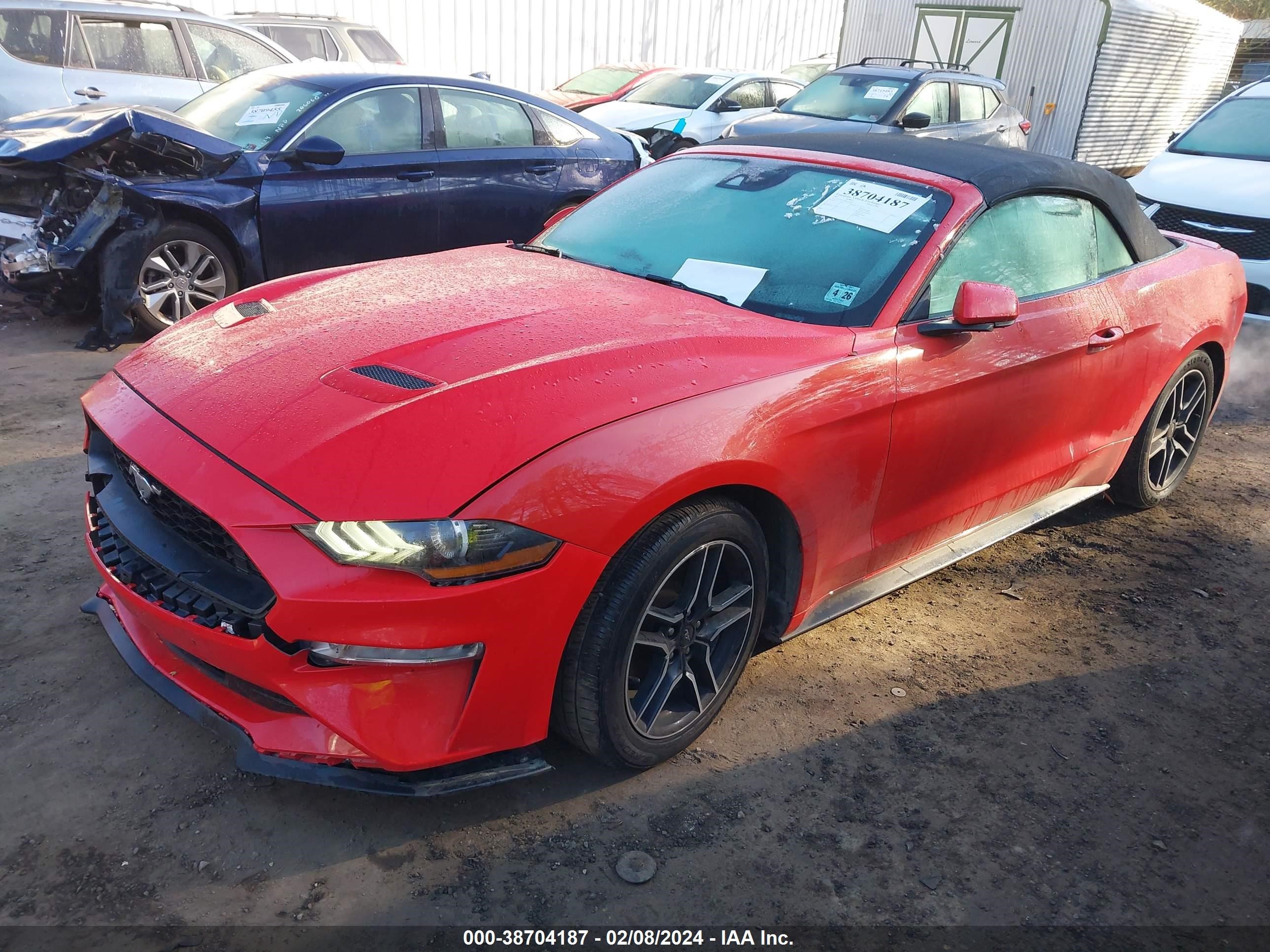 Photo 1 VIN: 1FATP8UH5M5104294 - FORD MUSTANG 