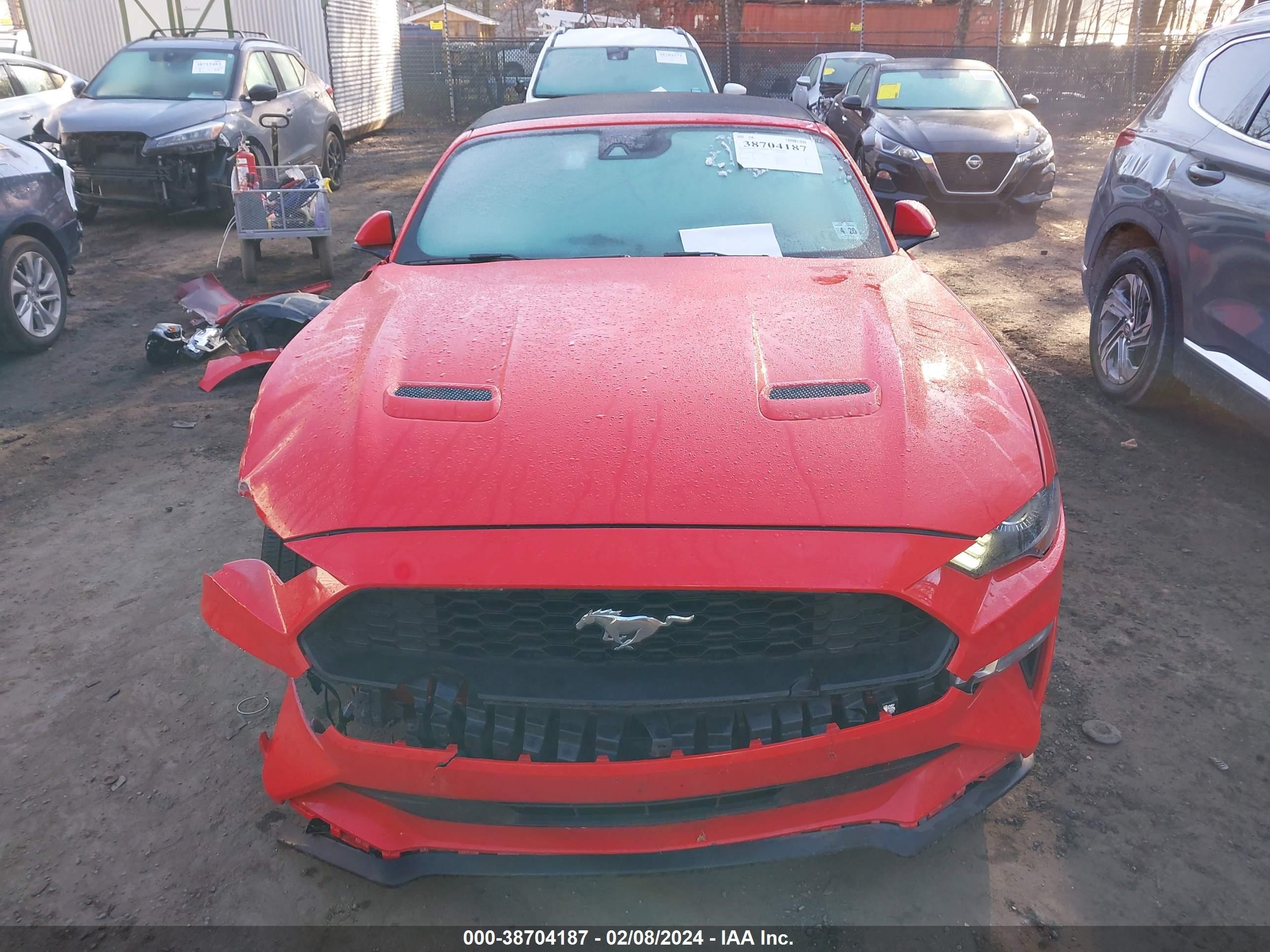 Photo 12 VIN: 1FATP8UH5M5104294 - FORD MUSTANG 