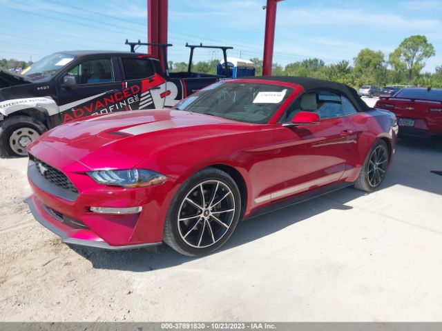 Photo 1 VIN: 1FATP8UH5M5151180 - FORD MUSTANG 