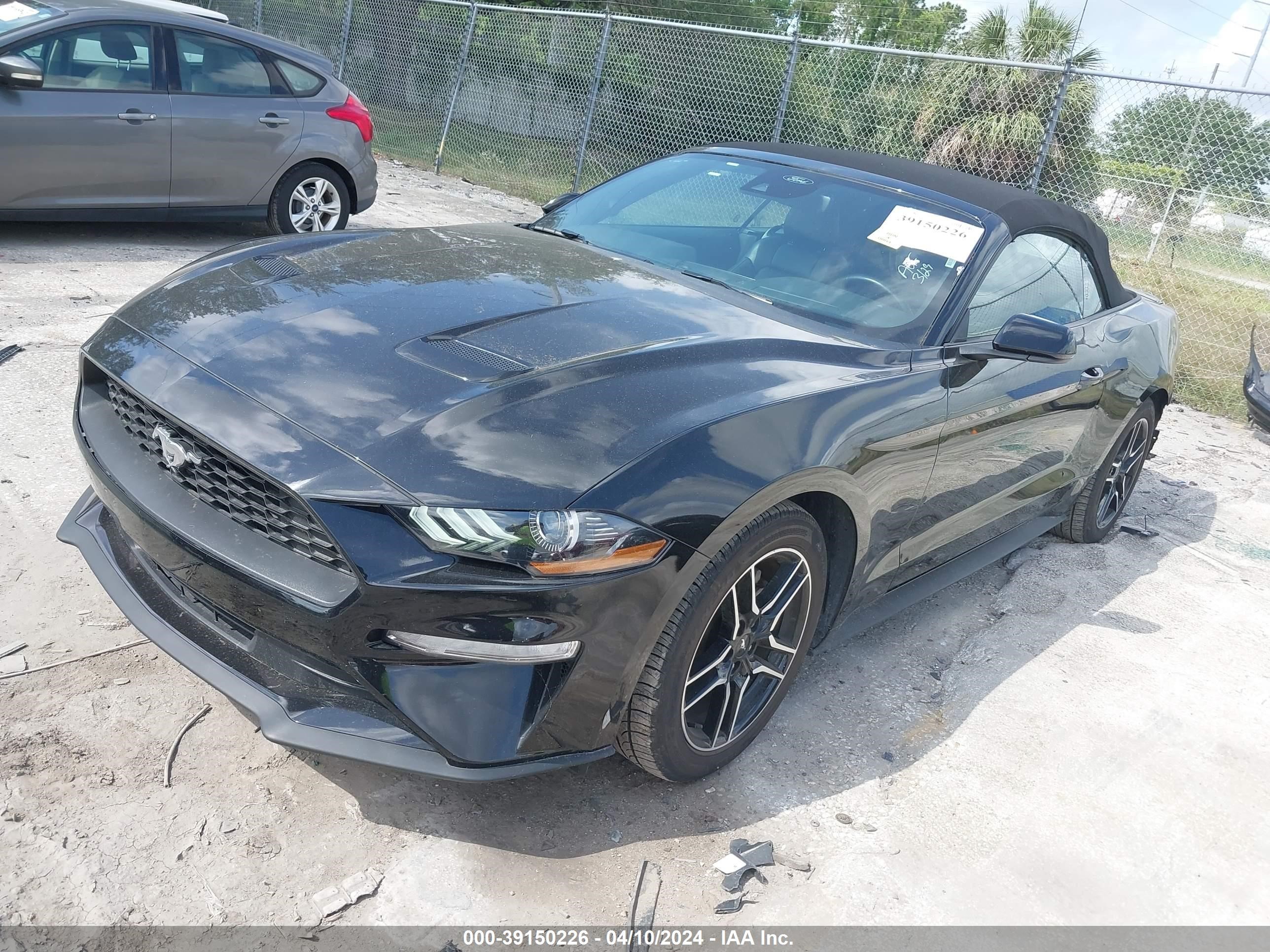 Photo 1 VIN: 1FATP8UH5P5105594 - FORD MUSTANG 