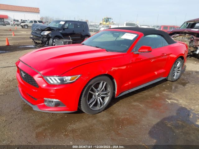 Photo 1 VIN: 1FATP8UH6F5354811 - FORD MUSTANG 