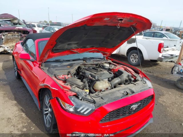 Photo 5 VIN: 1FATP8UH6F5354811 - FORD MUSTANG 