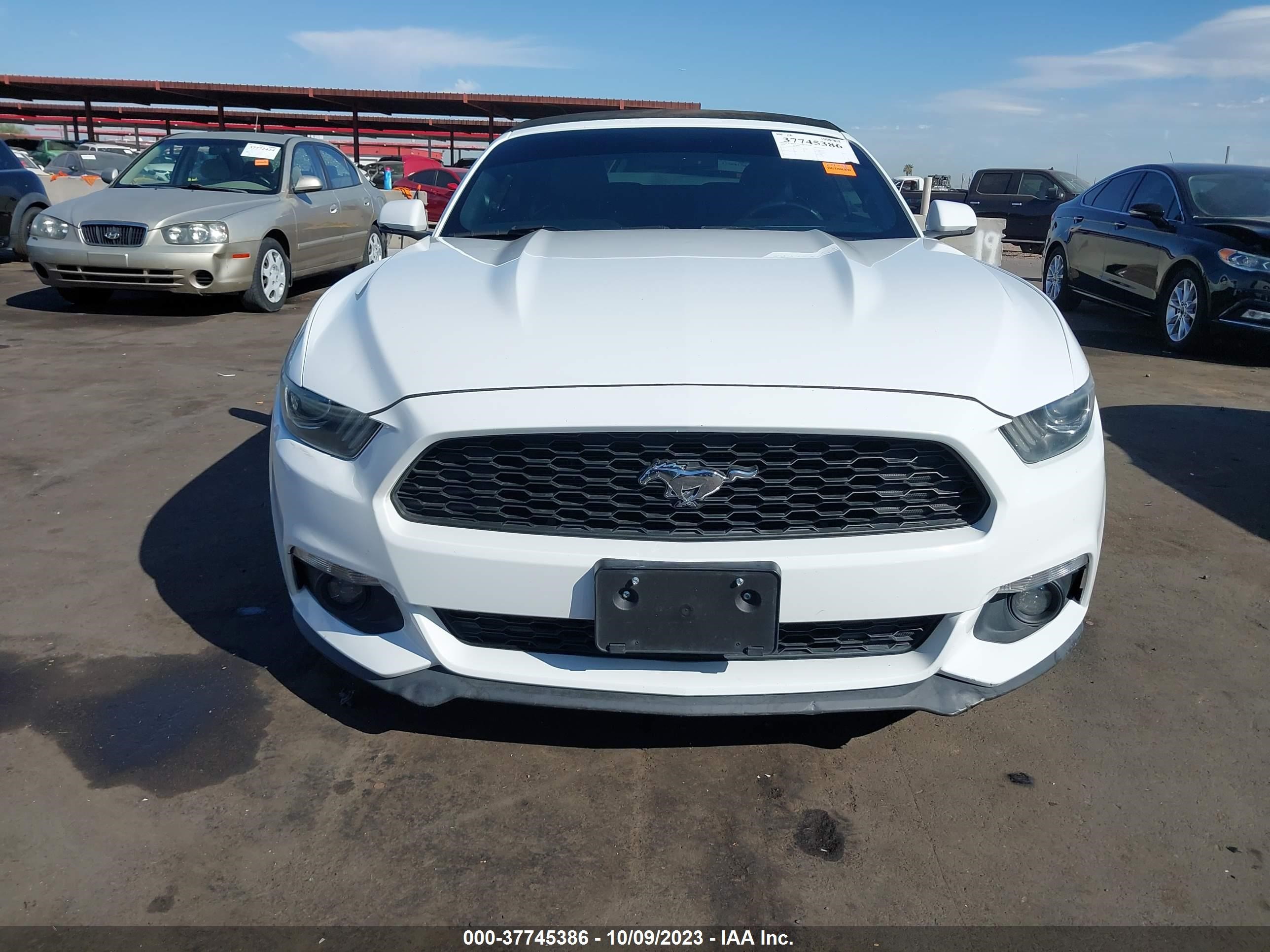 Photo 11 VIN: 1FATP8UH6G5275141 - FORD MUSTANG 