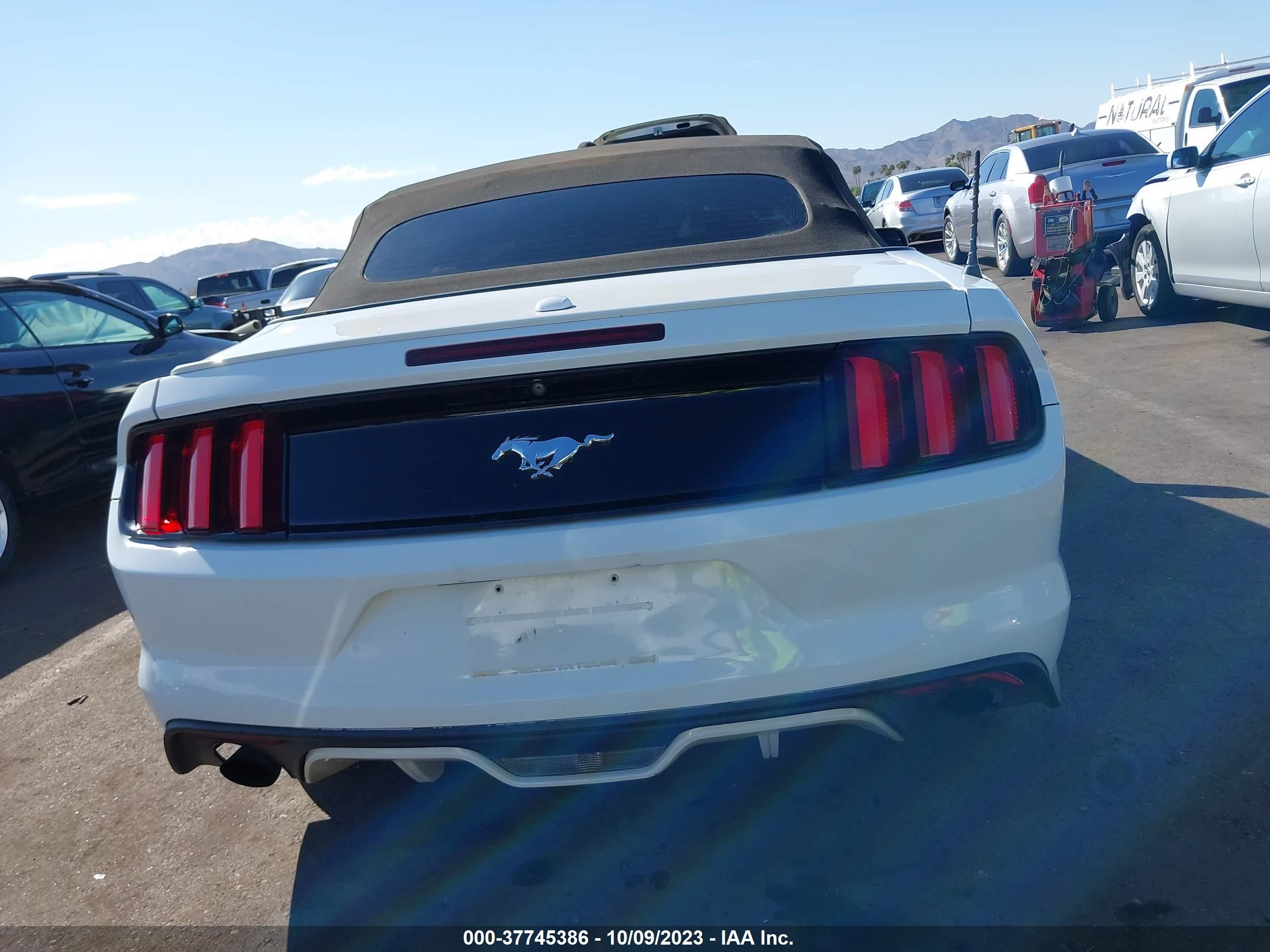 Photo 15 VIN: 1FATP8UH6G5275141 - FORD MUSTANG 