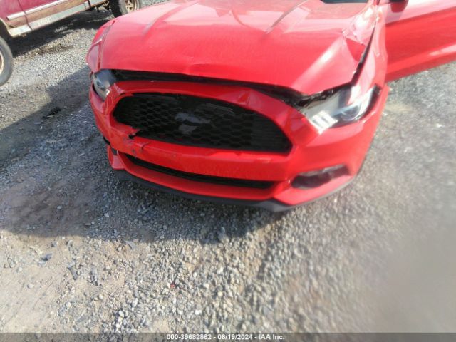 Photo 5 VIN: 1FATP8UH6G5275172 - FORD MUSTANG 