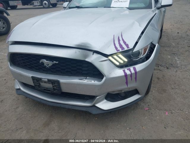 Photo 5 VIN: 1FATP8UH6H5204622 - FORD MUSTANG 