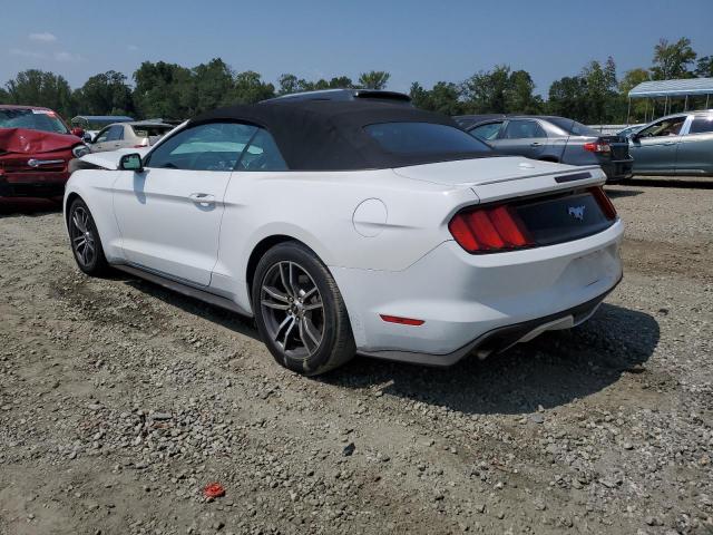 Photo 1 VIN: 1FATP8UH6H5205950 - FORD MUSTANG 