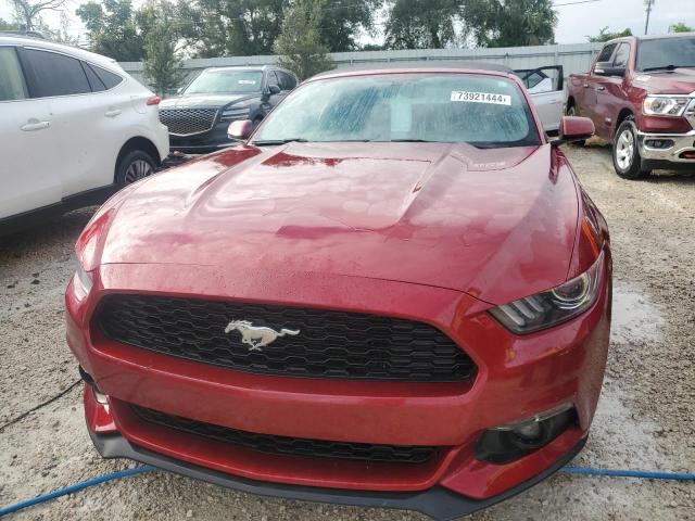 Photo 4 VIN: 1FATP8UH6H5273472 - FORD MUSTANG 