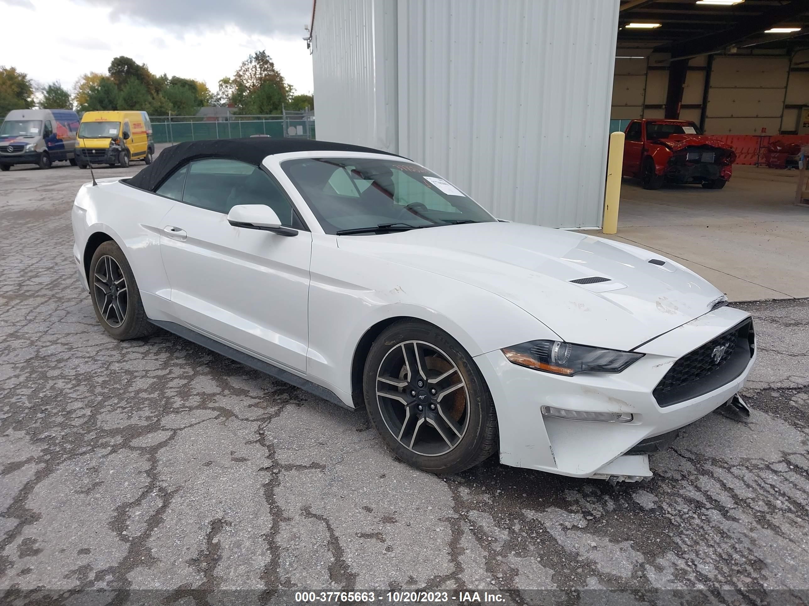 Photo 0 VIN: 1FATP8UH6K5141772 - FORD MUSTANG 