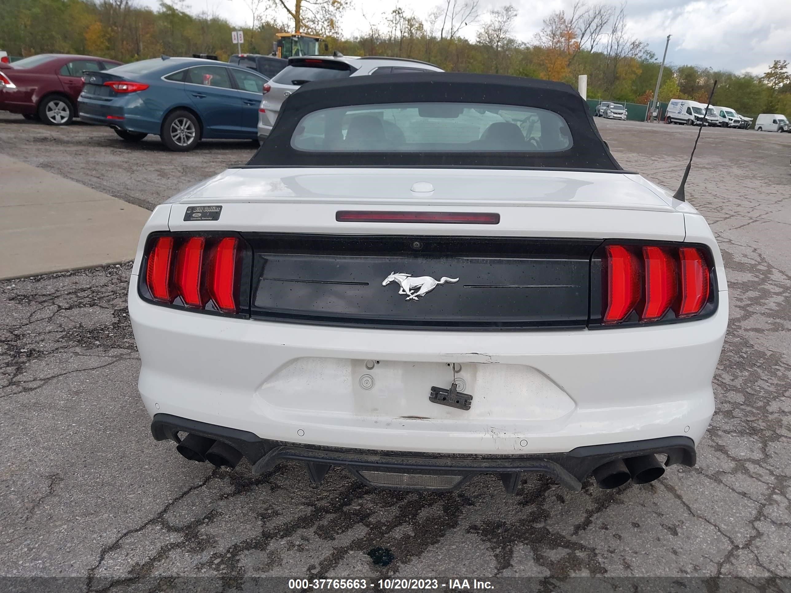 Photo 15 VIN: 1FATP8UH6K5141772 - FORD MUSTANG 