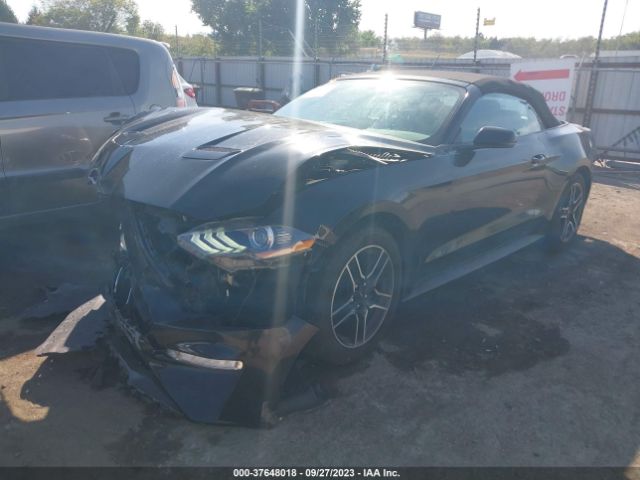 Photo 1 VIN: 1FATP8UH6L5134211 - FORD MUSTANG 