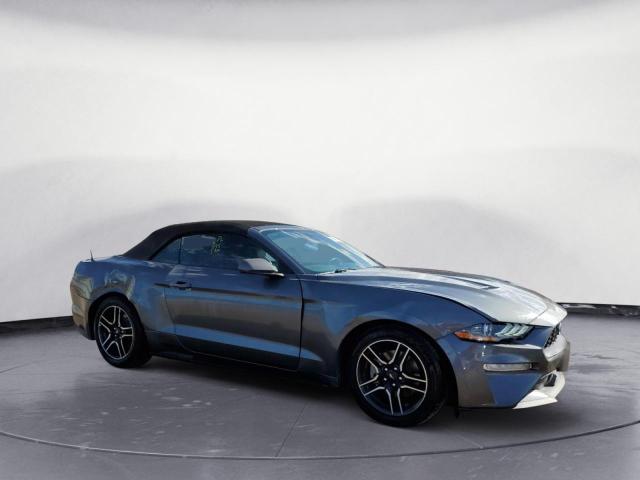 Photo 3 VIN: 1FATP8UH6N5107447 - FORD MUSTANG 