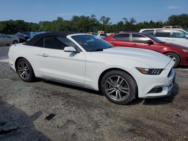 Photo 3 VIN: 1FATP8UH7G5243394 - FORD MUSTANG 