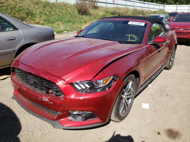 Photo 1 VIN: 1FATP8UH7G5294961 - FORD MUSTANG 