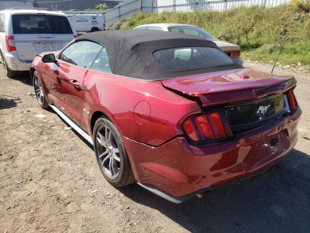 Photo 2 VIN: 1FATP8UH7G5294961 - FORD MUSTANG 