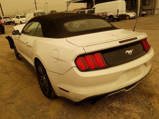 Photo 2 VIN: 1FATP8UH7G5295799 - FORD MUSTANG 