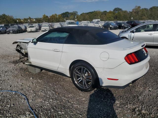 Photo 1 VIN: 1FATP8UH7H5217847 - FORD MUSTANG 