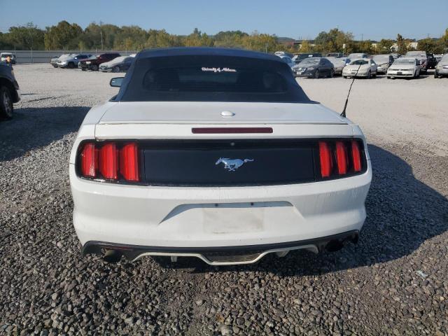 Photo 5 VIN: 1FATP8UH7H5217847 - FORD MUSTANG 