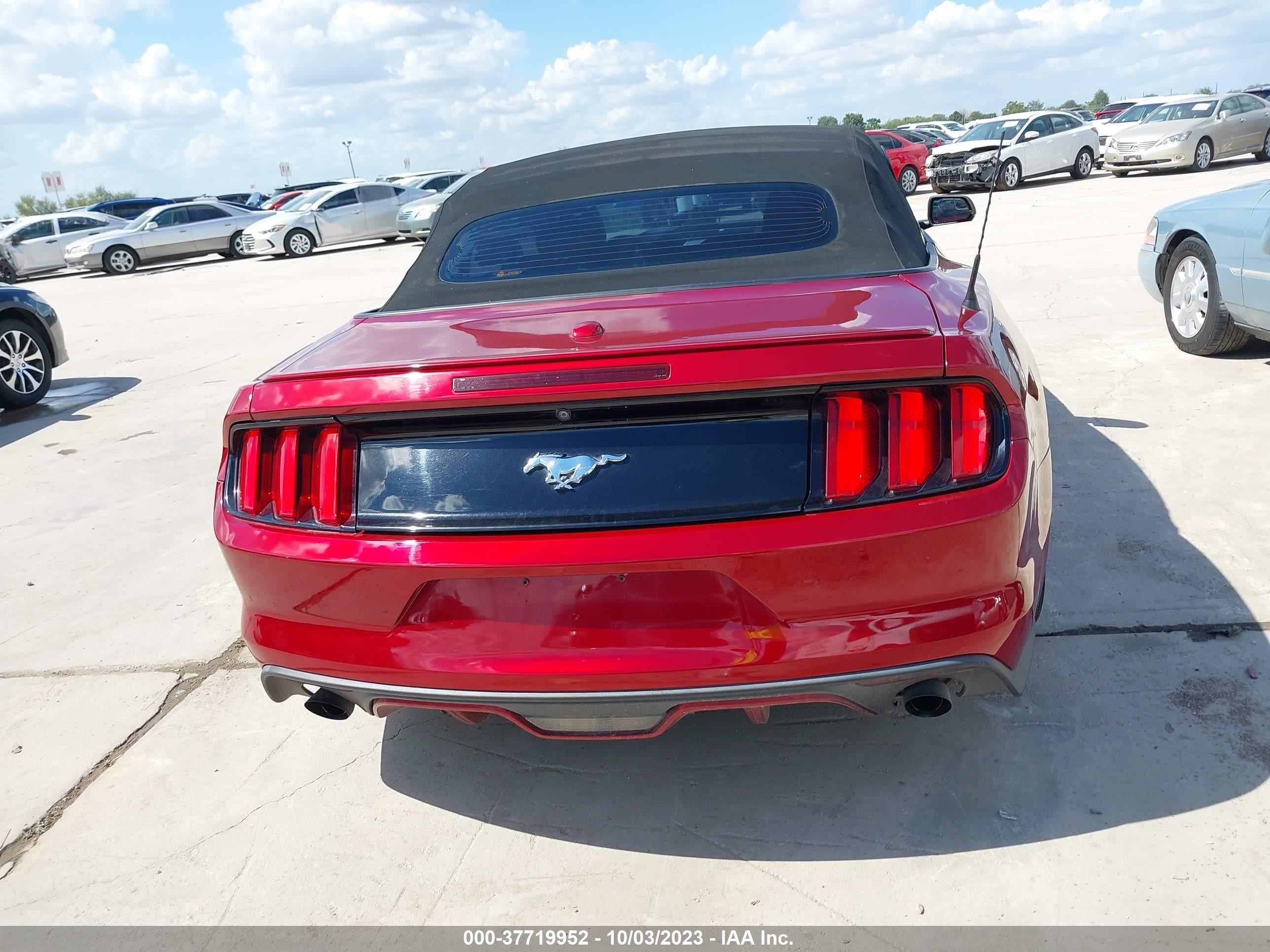 Photo 16 VIN: 1FATP8UH7H5247964 - FORD MUSTANG 