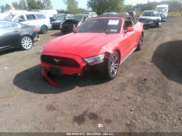 Photo 1 VIN: 1FATP8UH7H5293942 - FORD MUSTANG 