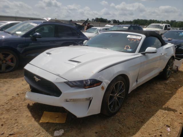 Photo 1 VIN: 1FATP8UH7K5159892 - FORD MUSTANG 