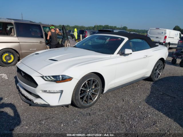 Photo 1 VIN: 1FATP8UH7K5184307 - FORD MUSTANG 