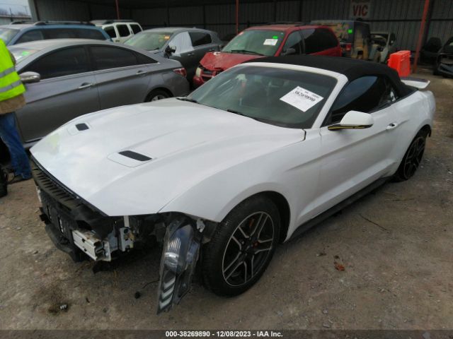 Photo 1 VIN: 1FATP8UH7L5131611 - FORD MUSTANG 