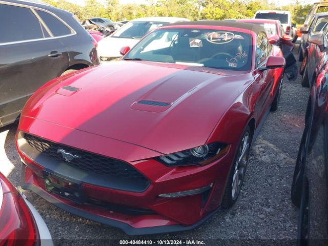 Photo 1 VIN: 1FATP8UH7M5140942 - FORD MUSTANG 