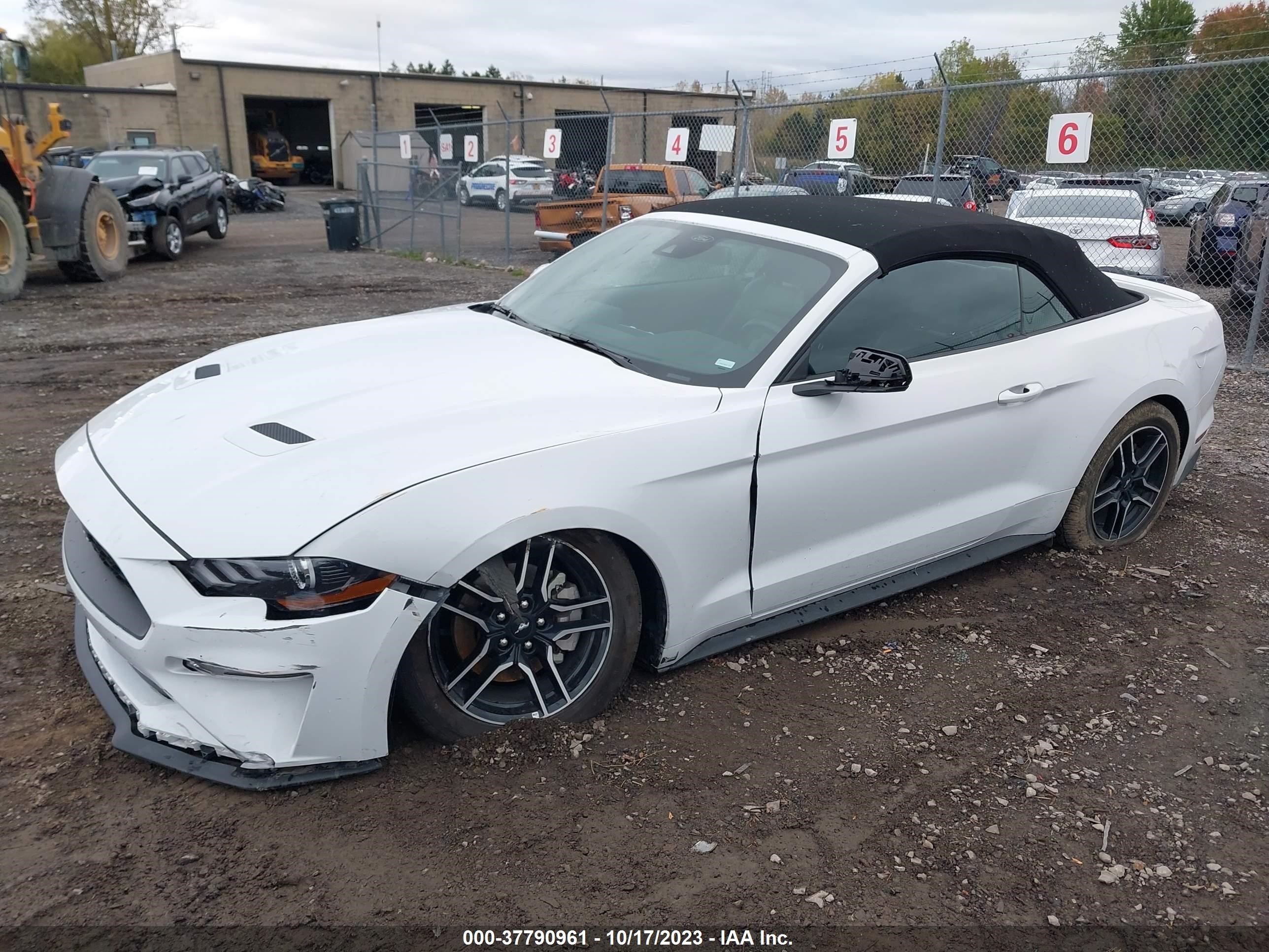 Photo 1 VIN: 1FATP8UH7P5103300 - FORD MUSTANG 