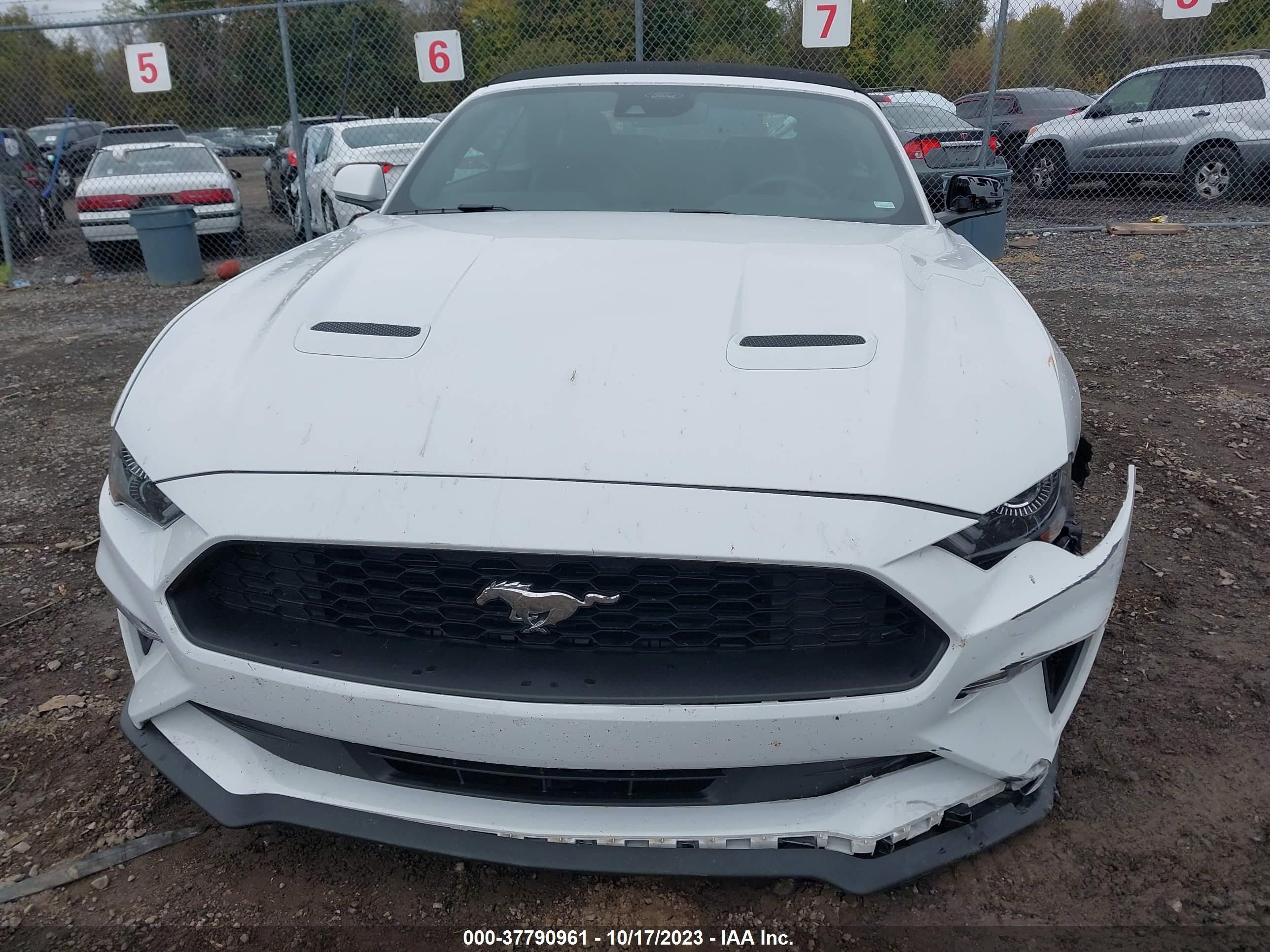 Photo 11 VIN: 1FATP8UH7P5103300 - FORD MUSTANG 