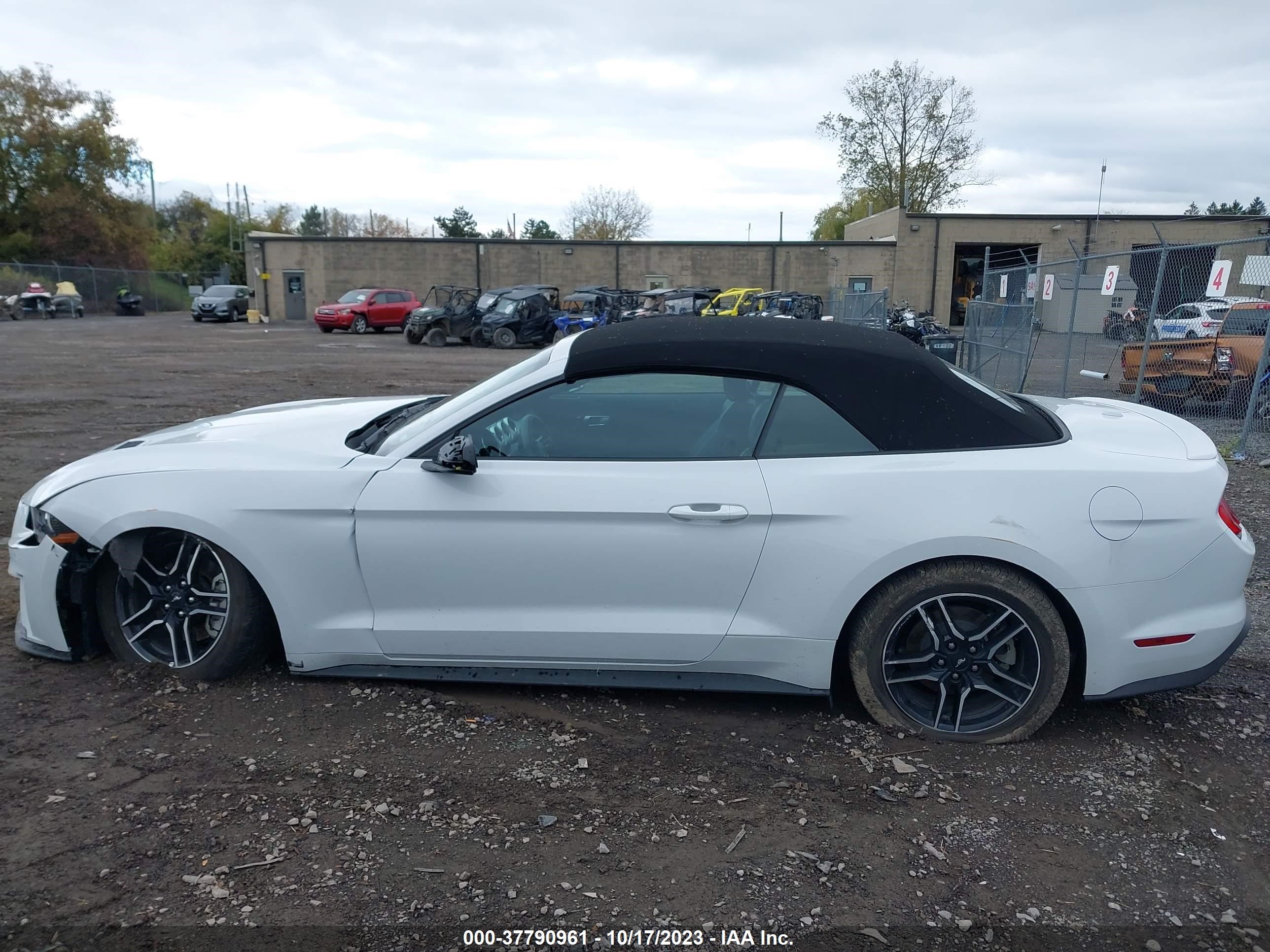 Photo 13 VIN: 1FATP8UH7P5103300 - FORD MUSTANG 