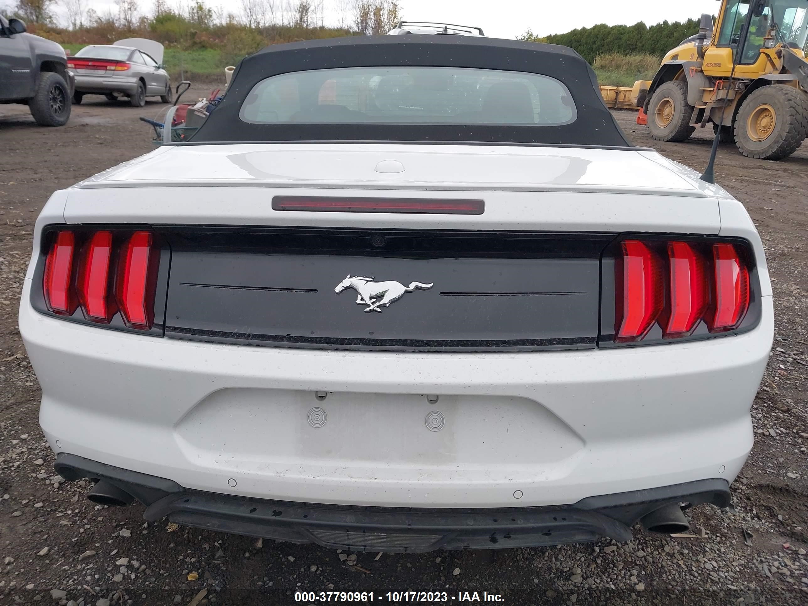 Photo 15 VIN: 1FATP8UH7P5103300 - FORD MUSTANG 