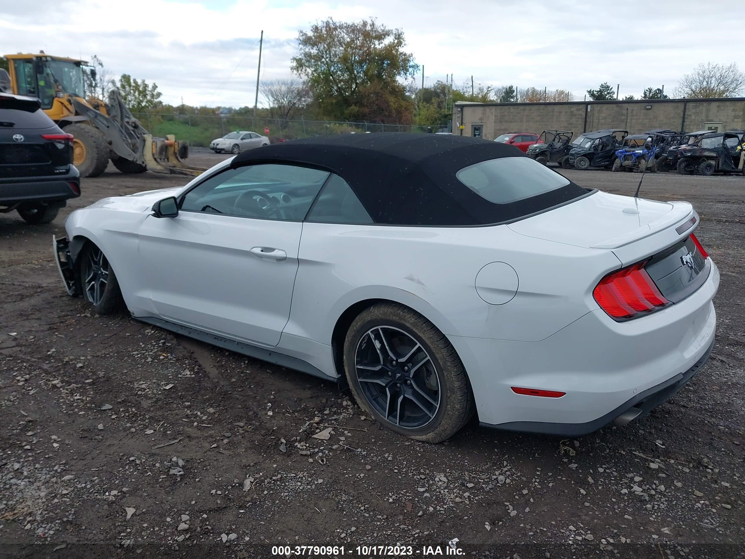 Photo 2 VIN: 1FATP8UH7P5103300 - FORD MUSTANG 