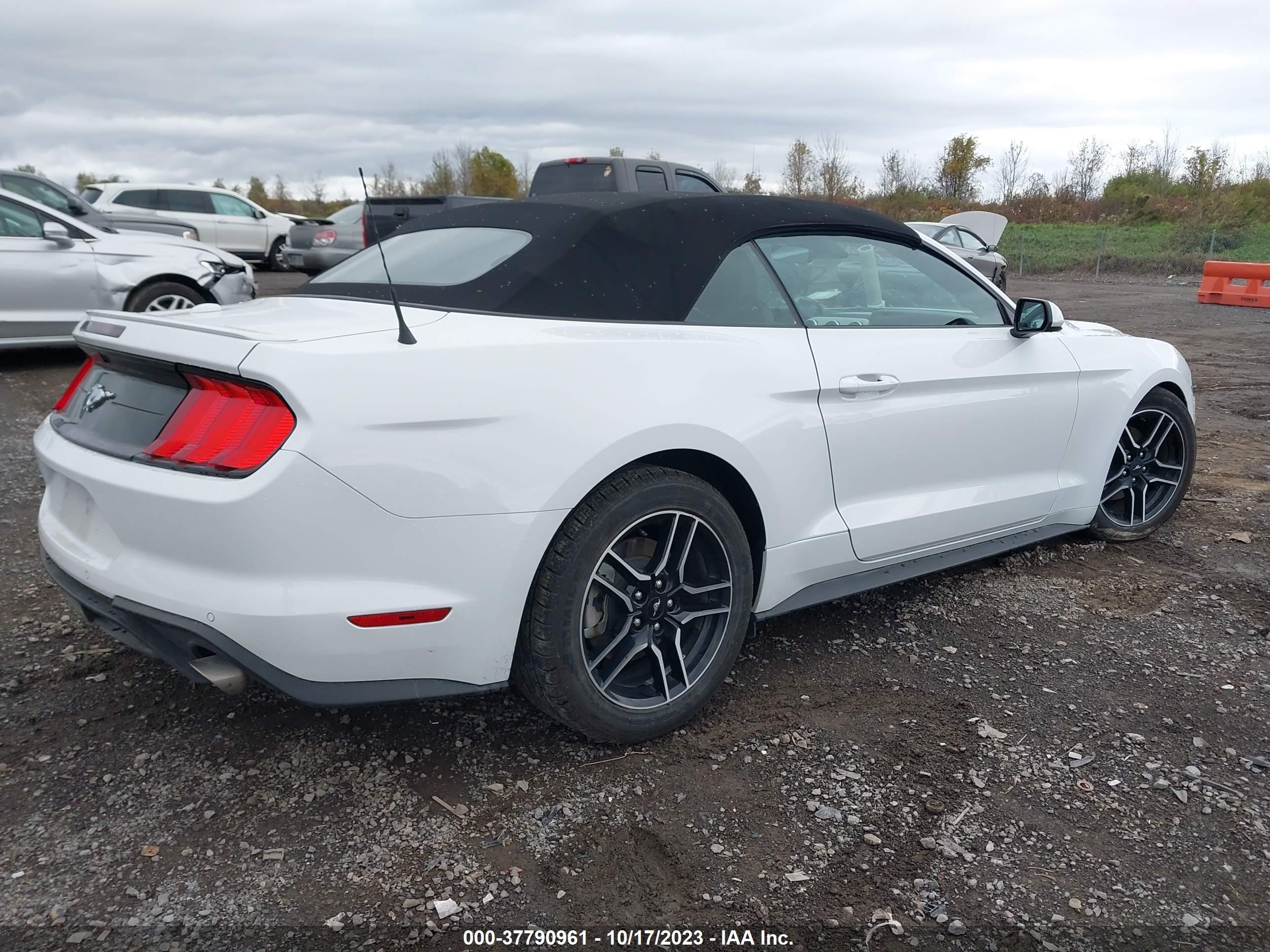 Photo 3 VIN: 1FATP8UH7P5103300 - FORD MUSTANG 