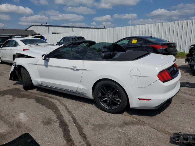 Photo 1 VIN: 1FATP8UH8G5243064 - FORD MUSTANG 