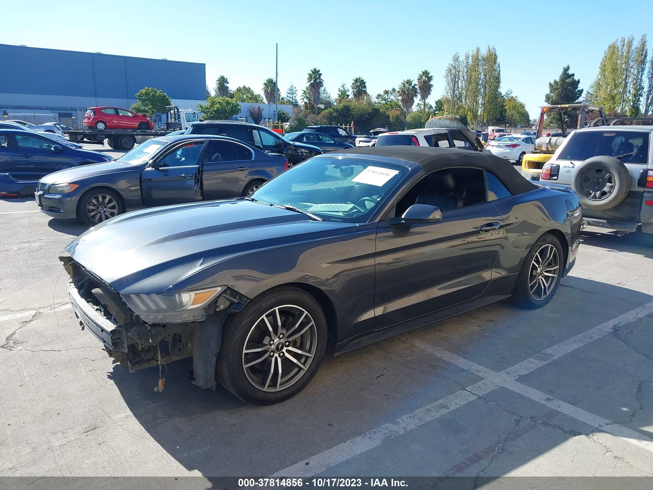 Photo 1 VIN: 1FATP8UH8H5204170 - FORD MUSTANG 