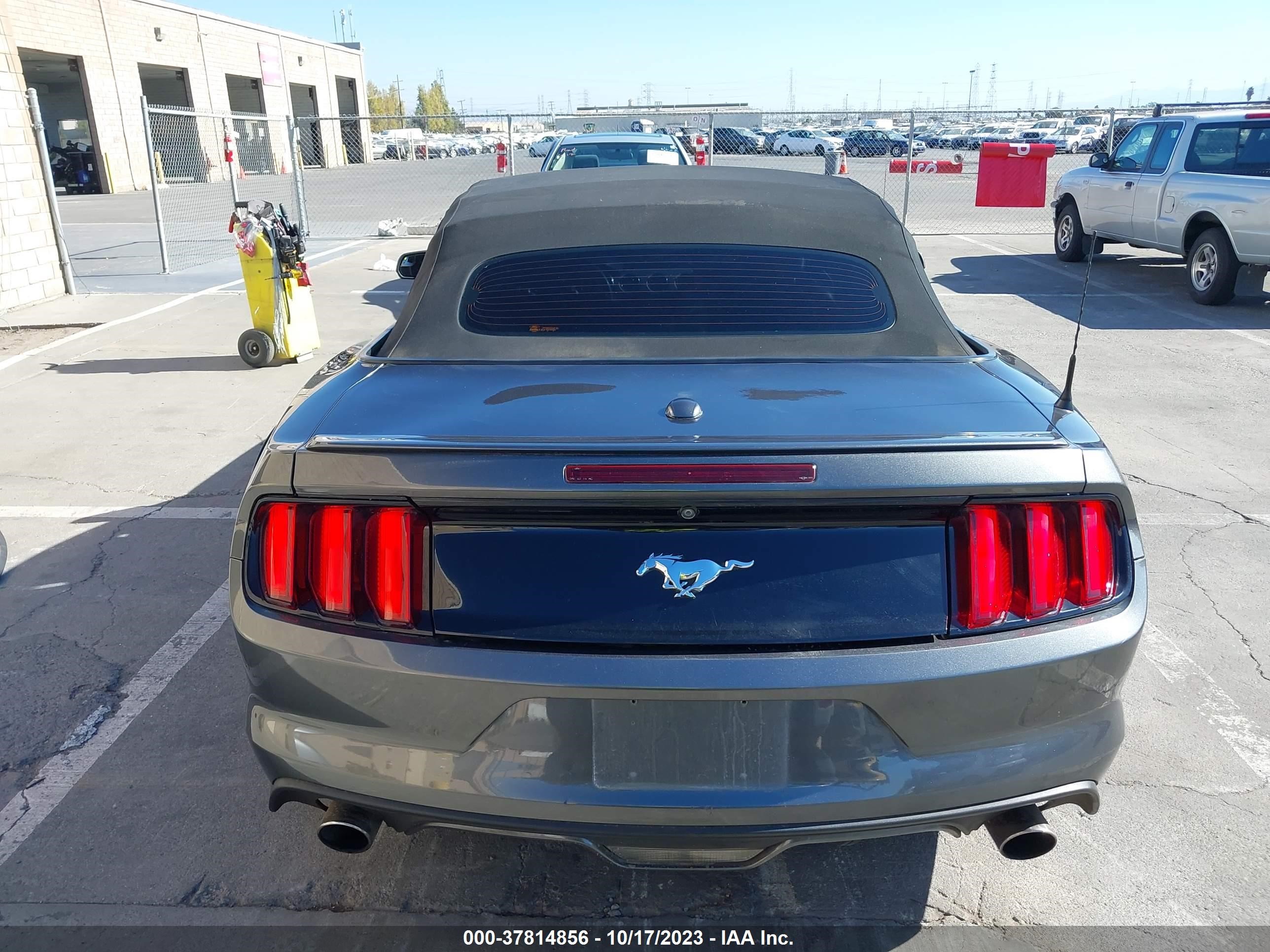 Photo 16 VIN: 1FATP8UH8H5204170 - FORD MUSTANG 