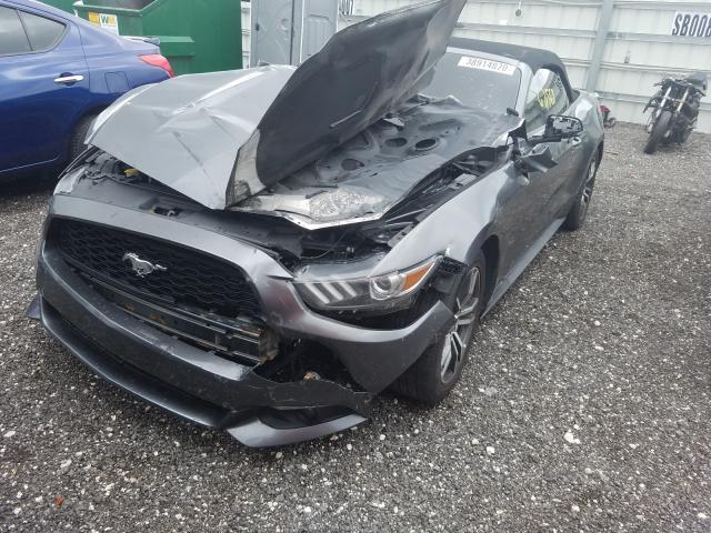 Photo 1 VIN: 1FATP8UH8H5245379 - FORD MUSTANG 