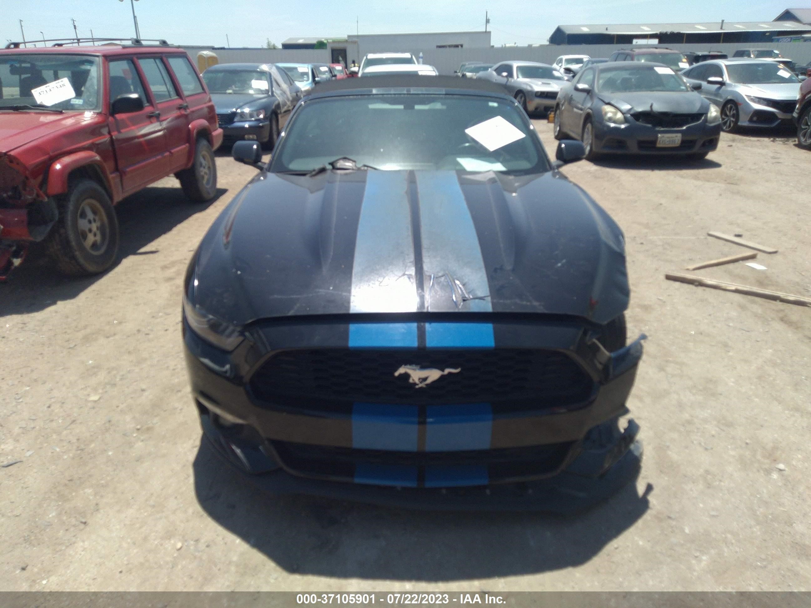 Photo 12 VIN: 1FATP8UH8H5254454 - FORD MUSTANG 