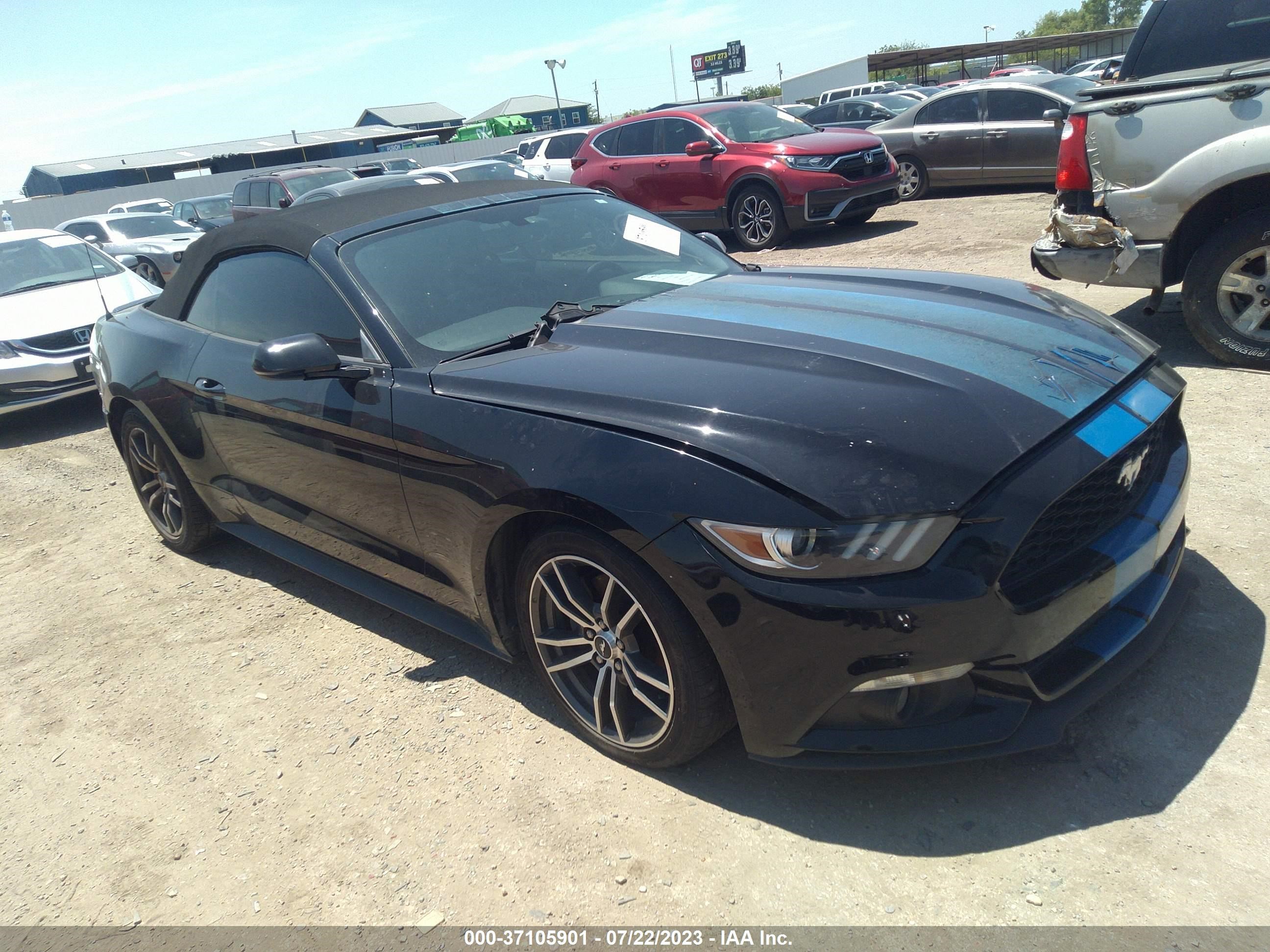 Photo 13 VIN: 1FATP8UH8H5254454 - FORD MUSTANG 