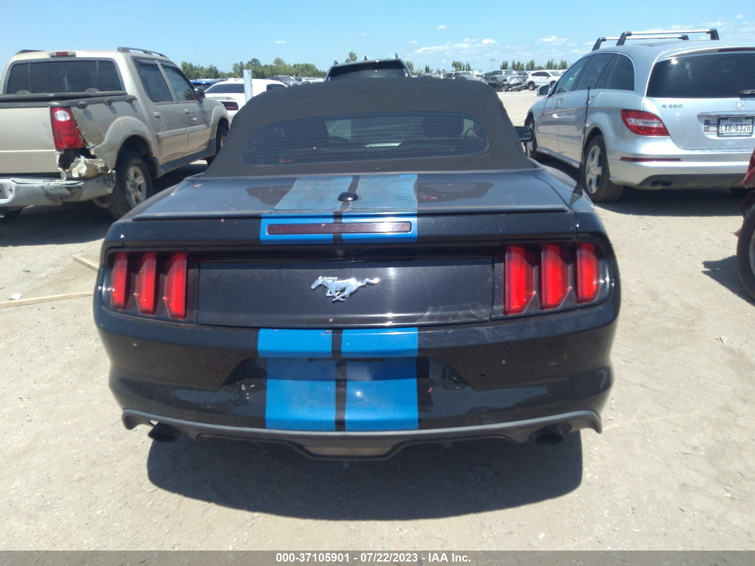 Photo 16 VIN: 1FATP8UH8H5254454 - FORD MUSTANG 