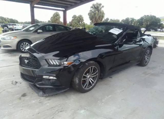 Photo 1 VIN: 1FATP8UH8H5282576 - FORD MUSTANG 