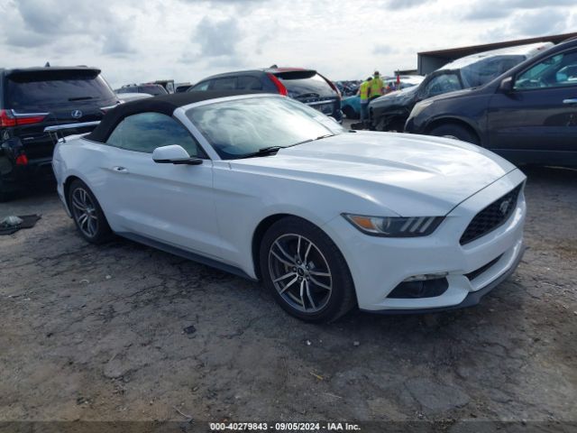 Photo 0 VIN: 1FATP8UH8H5293500 - FORD MUSTANG 