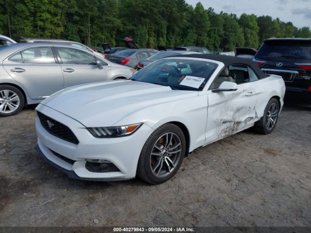 Photo 1 VIN: 1FATP8UH8H5293500 - FORD MUSTANG 