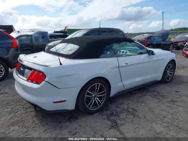 Photo 3 VIN: 1FATP8UH8H5293500 - FORD MUSTANG 