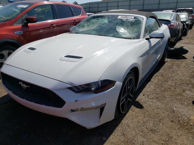 Photo 1 VIN: 1FATP8UH8K5138484 - FORD MUSTANG 