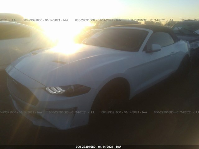 Photo 1 VIN: 1FATP8UH8K5179455 - FORD MUSTANG 