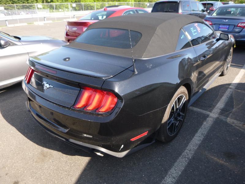 Photo 3 VIN: 1FATP8UH8L5125753 - FORD MUSTANG 4C CNV 