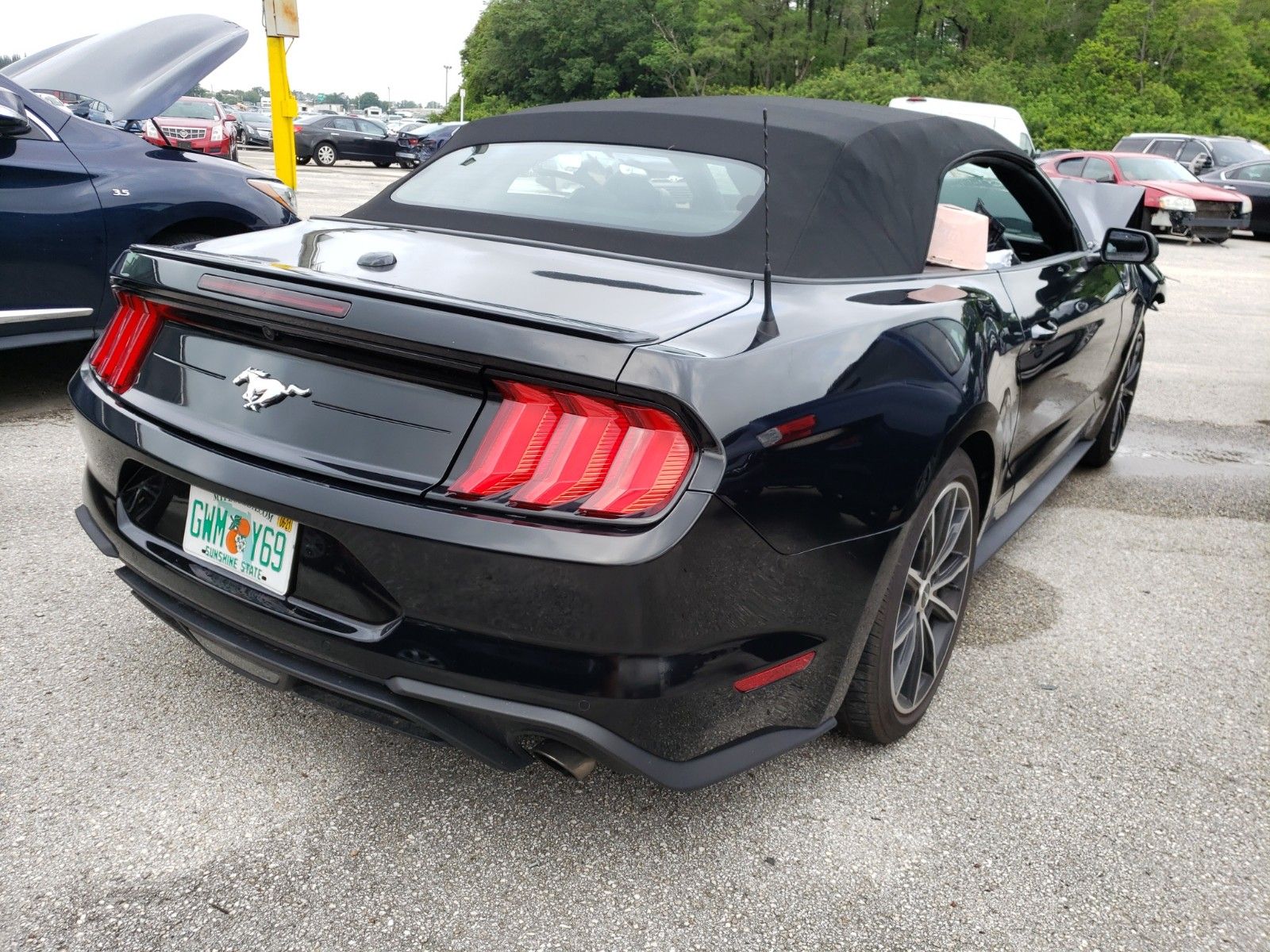 Photo 1 VIN: 1FATP8UH8L5138180 - FORD MUSTANG 4C CNV 